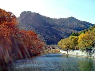 天天彩好彩天天免费，东阳木雕图片